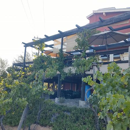 Rancho Los Amigos Cabin Lodge Энсенада Экстерьер фото