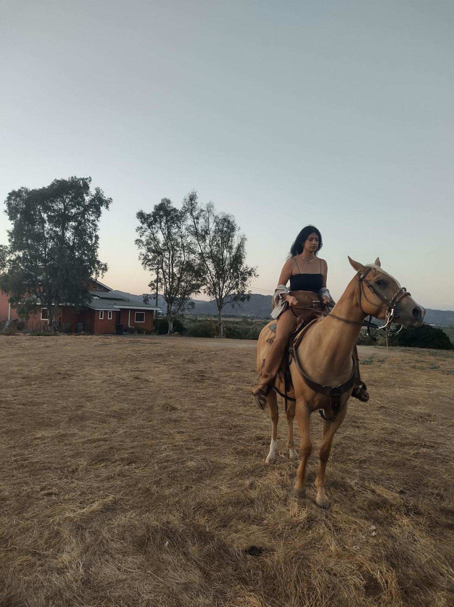 Rancho Los Amigos Cabin Lodge Энсенада Экстерьер фото